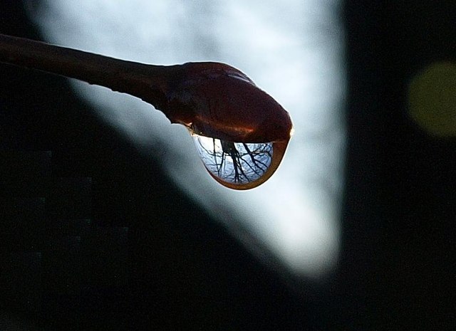 File:Solitary Raindrop - geograph.org.uk - 1069566.jpg