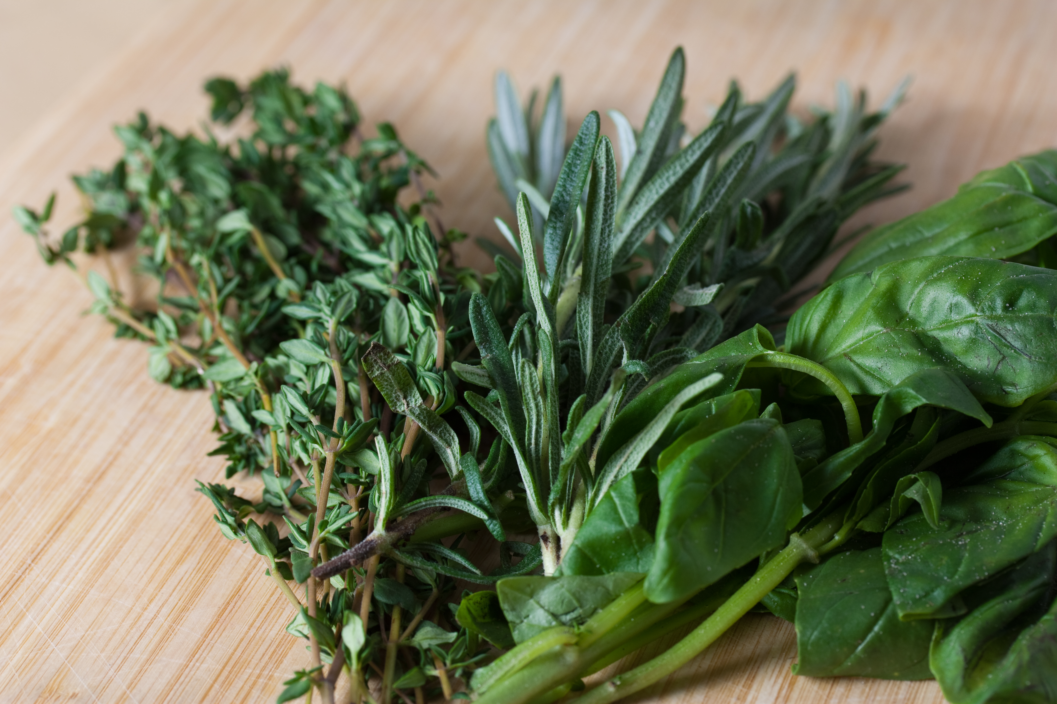 File Thyme Rosemary and Basil 5344737421 .jpg Wikimedia Commons