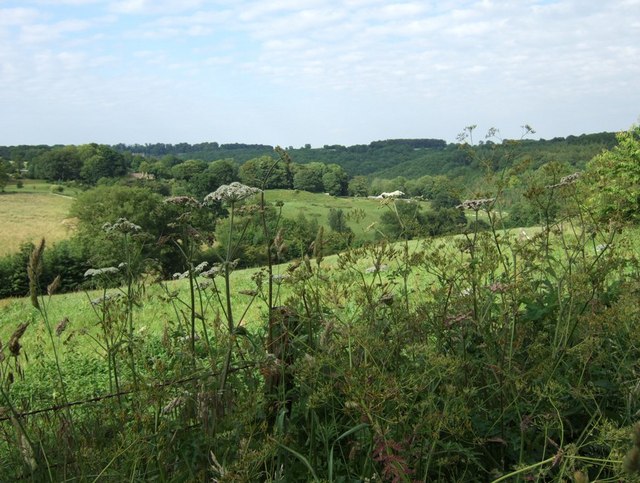 File:View Northeast from Lower Battlescombe - geograph.org.uk - 192025.jpg