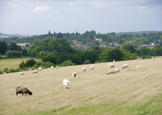 File:View towards Sparsholt - geograph.org.uk - 930101.jpg