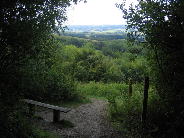 Whiteleaf Down on the North Downs Way - geograph.org.uk - 228093