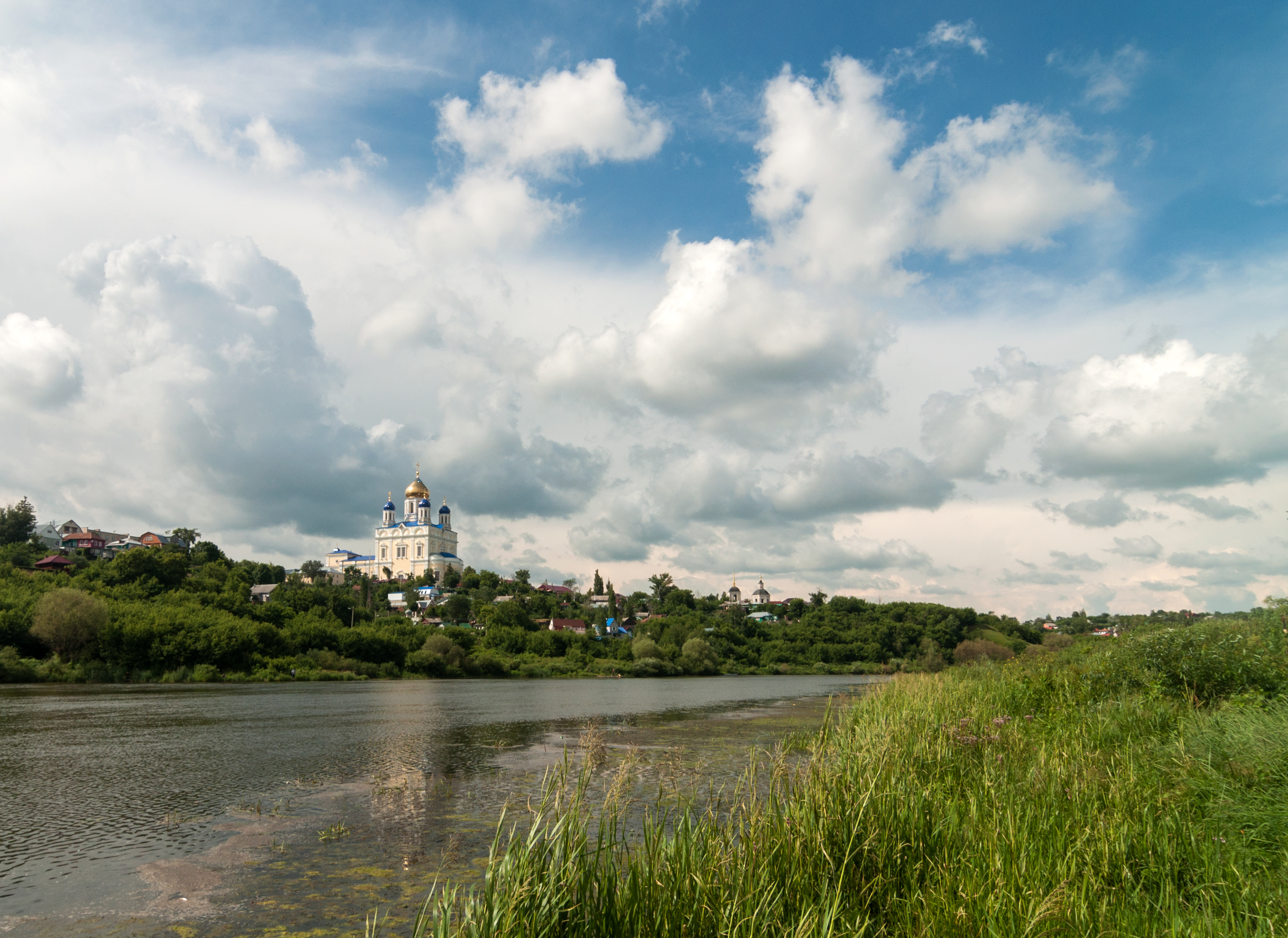 елец река сосна