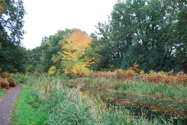 Autumn, Basingstoke Canal - geograph.org.uk - 2738354