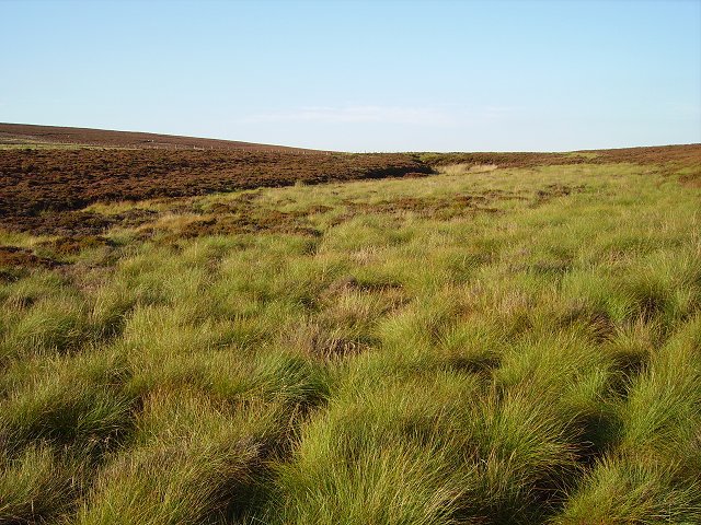 File:Black Burn - geograph.org.uk - 236328.jpg