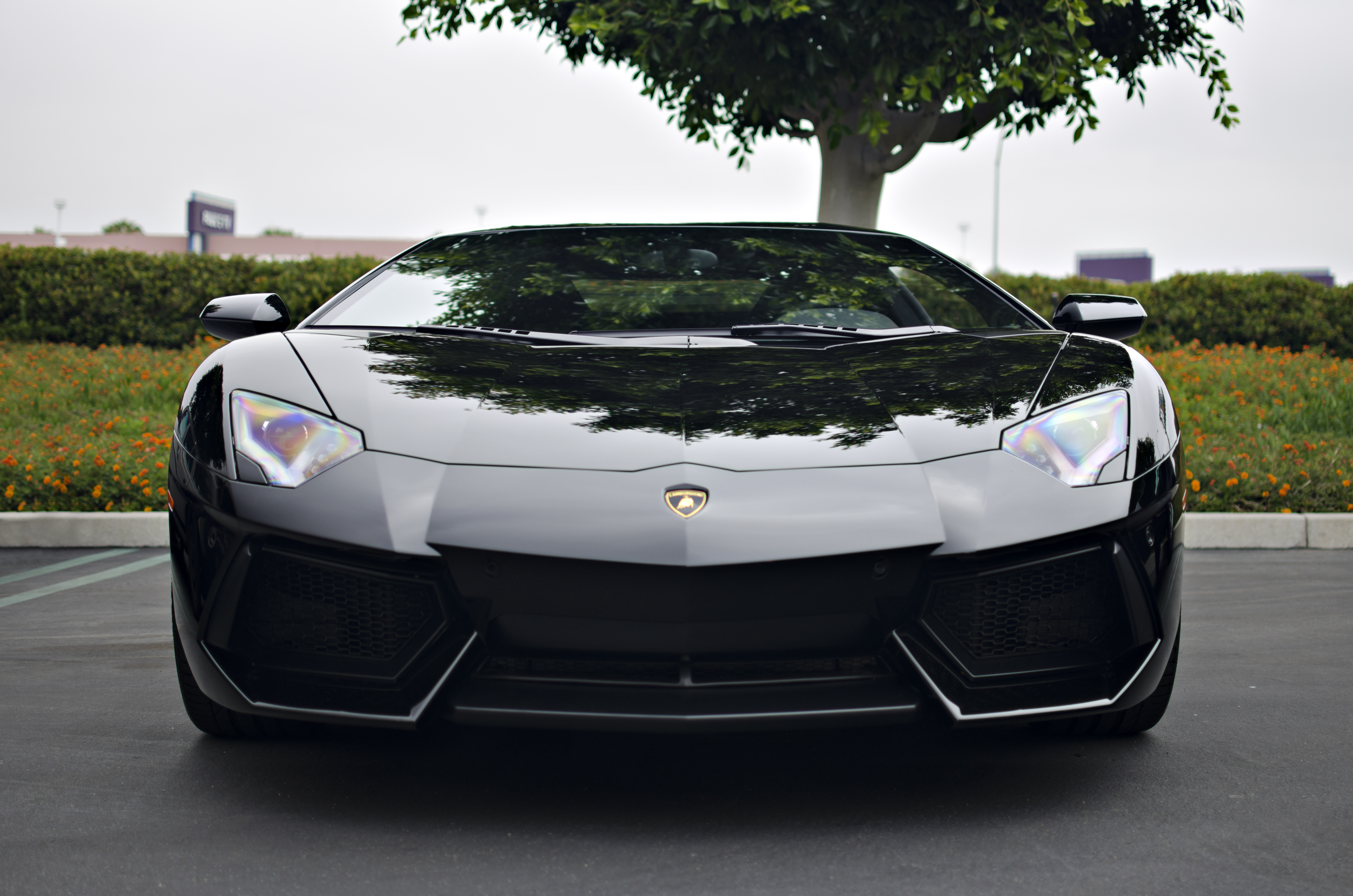 Lamborghini Aventador Black