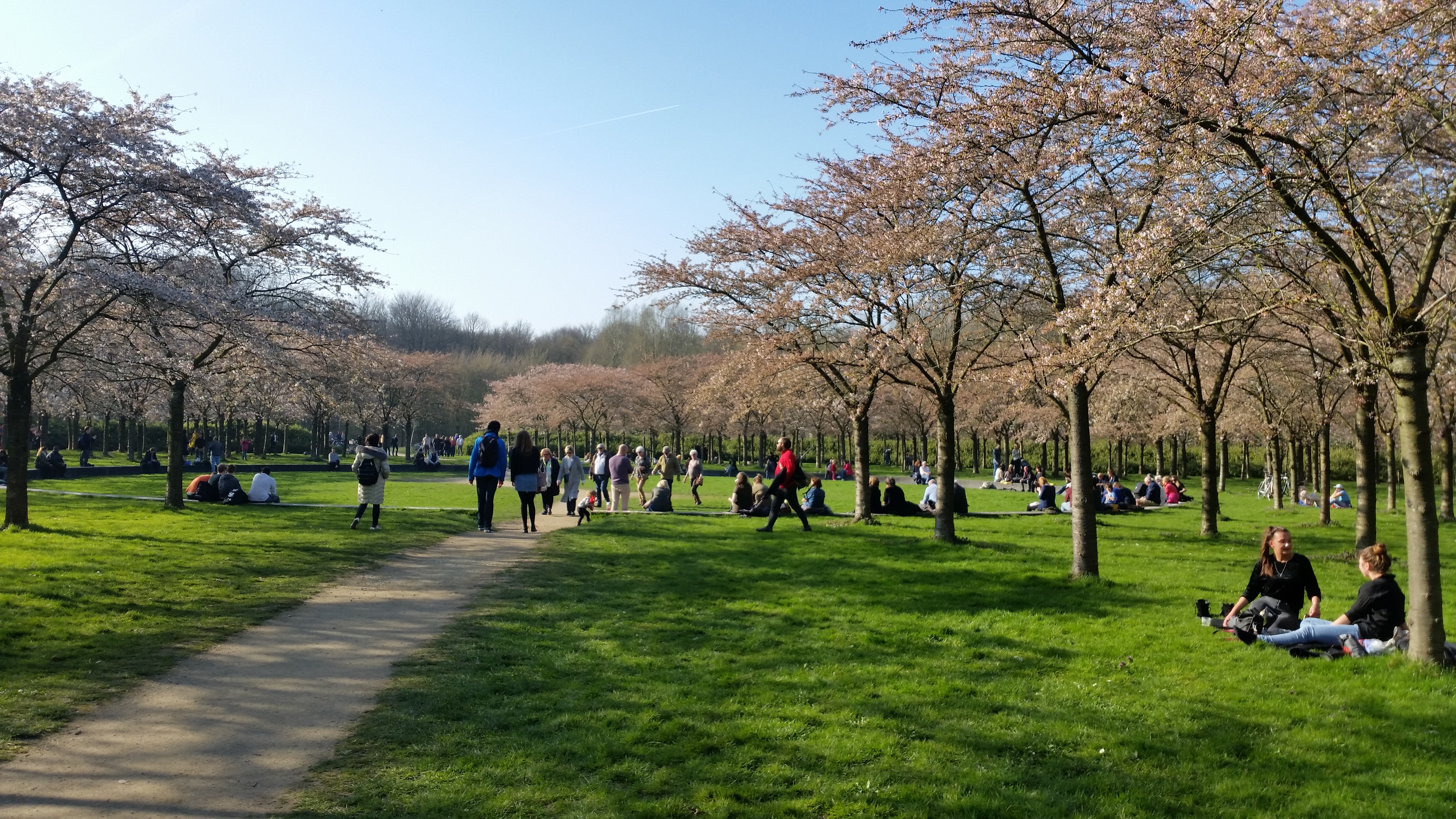 uren Grav Resultat File:Bloesempark Amsterdamse Bos.jpg - Wikimedia Commons