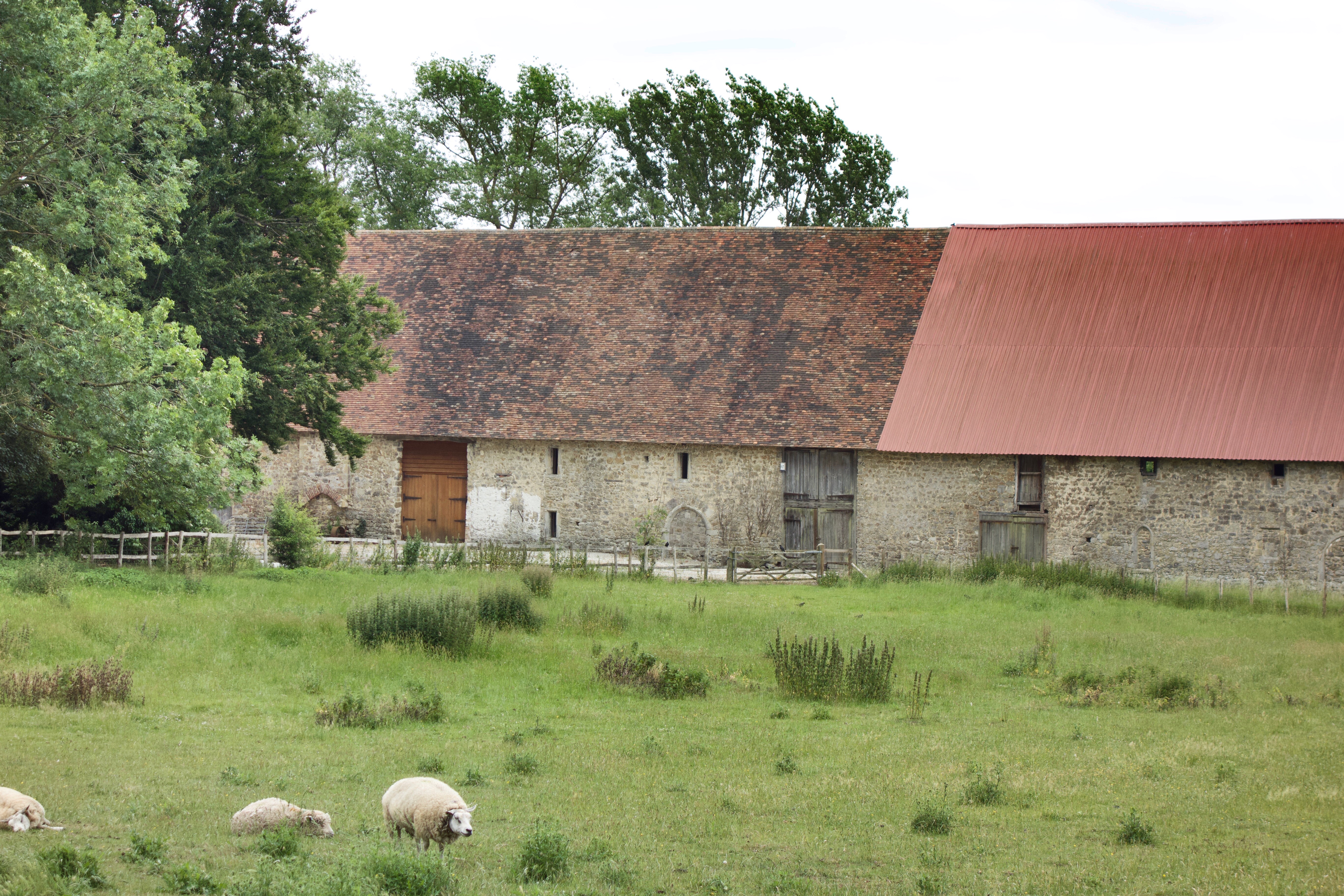 Barn 2