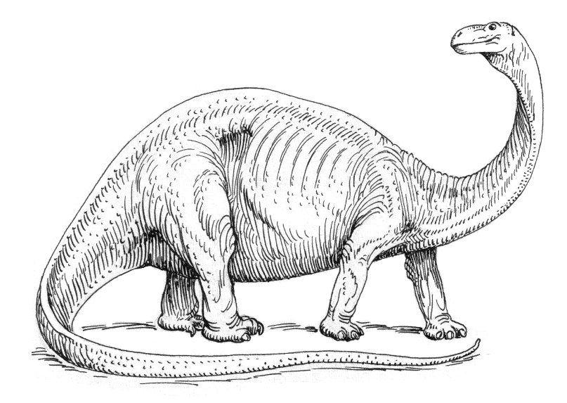 Mokele-mbembe, Cryptid Tidbits Wiki