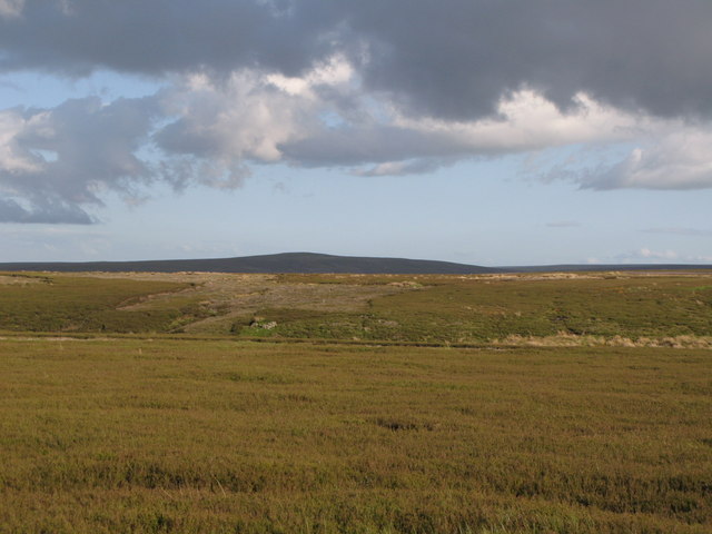 File:Burntridge Moor (2) - geograph.org.uk - 1469329.jpg