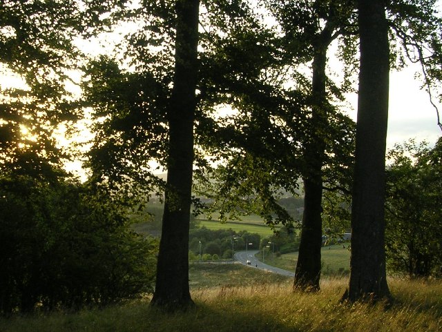 File:Castle Hill - geograph.org.uk - 48130.jpg