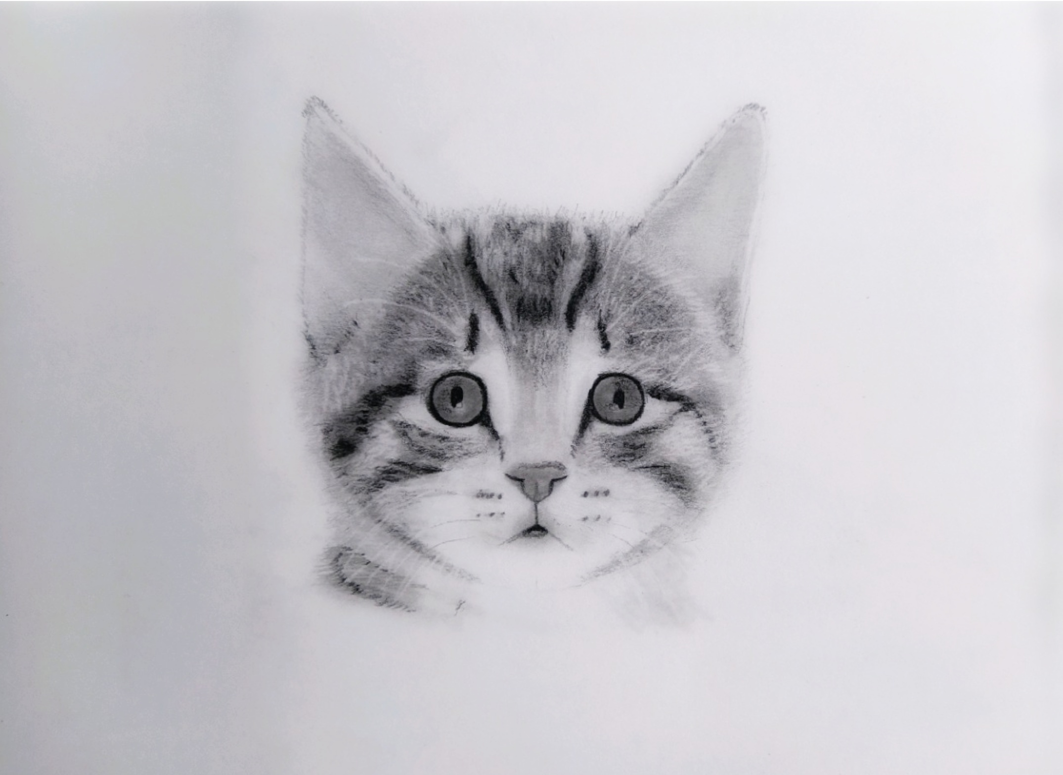 Cute Adorable Animal Cat Drawing · Creative Fabrica-saigonsouth.com.vn