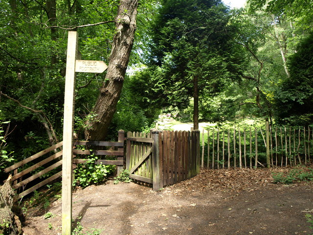 Change of direction, Adel Woods - geograph.org.uk - 2524349