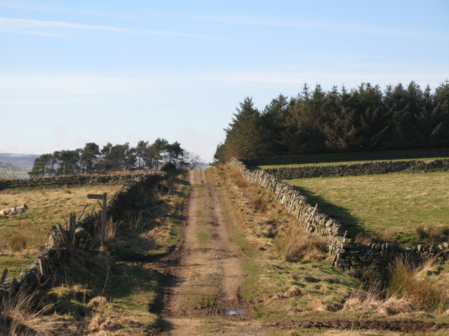 File:Chat's Lane above Moor House - geograph.org.uk - 701348.jpg