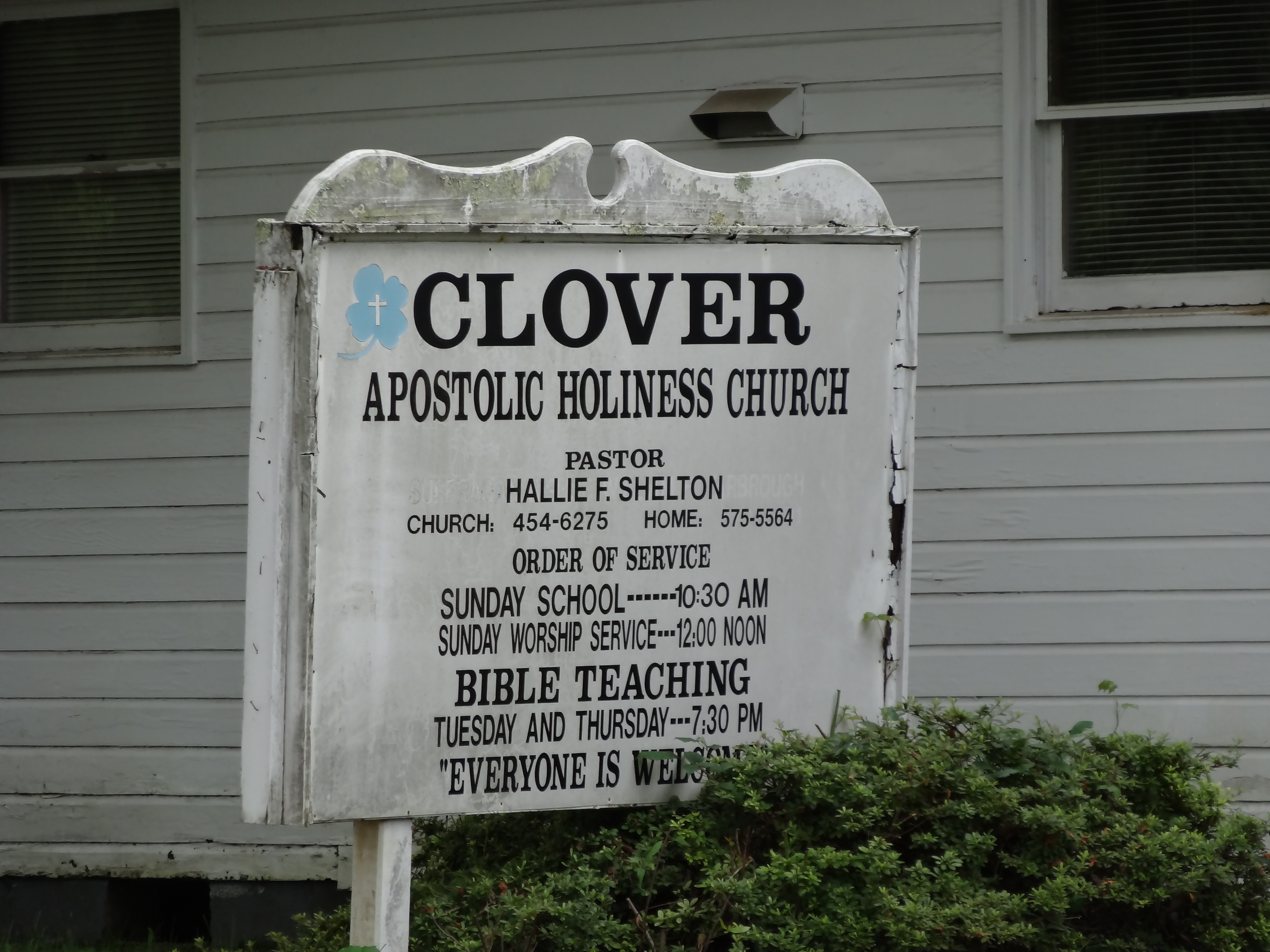 File:Clover.jpg - Wikipedia
