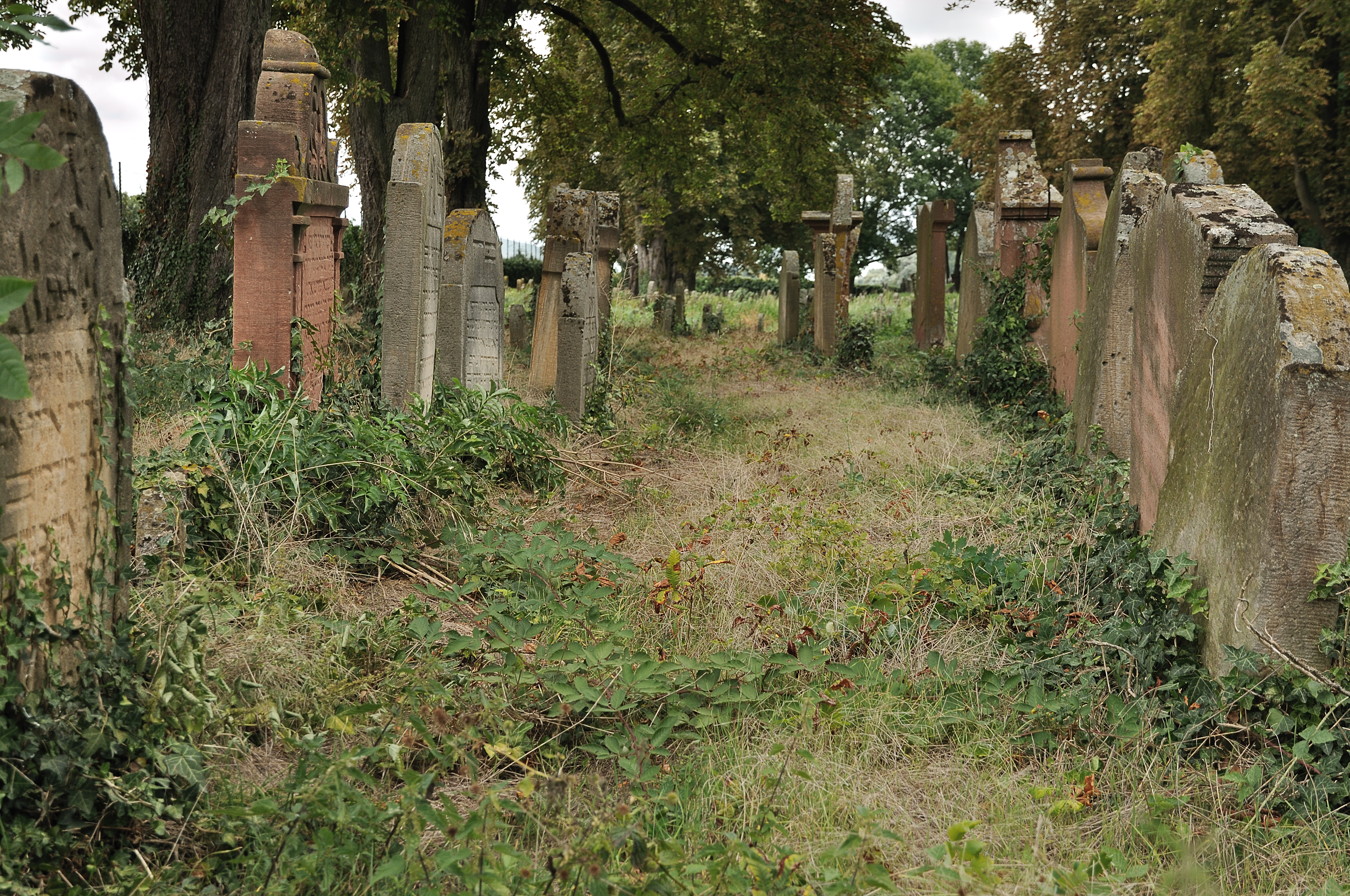 Alter jüdischer Friedhof