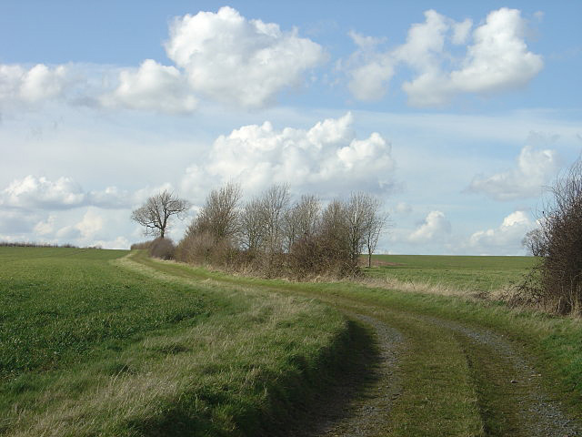 File:Farm track on Hoton Hill - geograph.org.uk - 750242.jpg