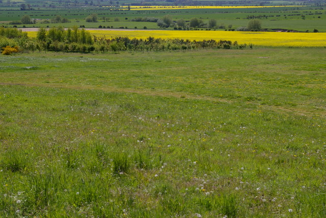 File:Farmland near Doddington - geograph.org.uk - 808237.jpg