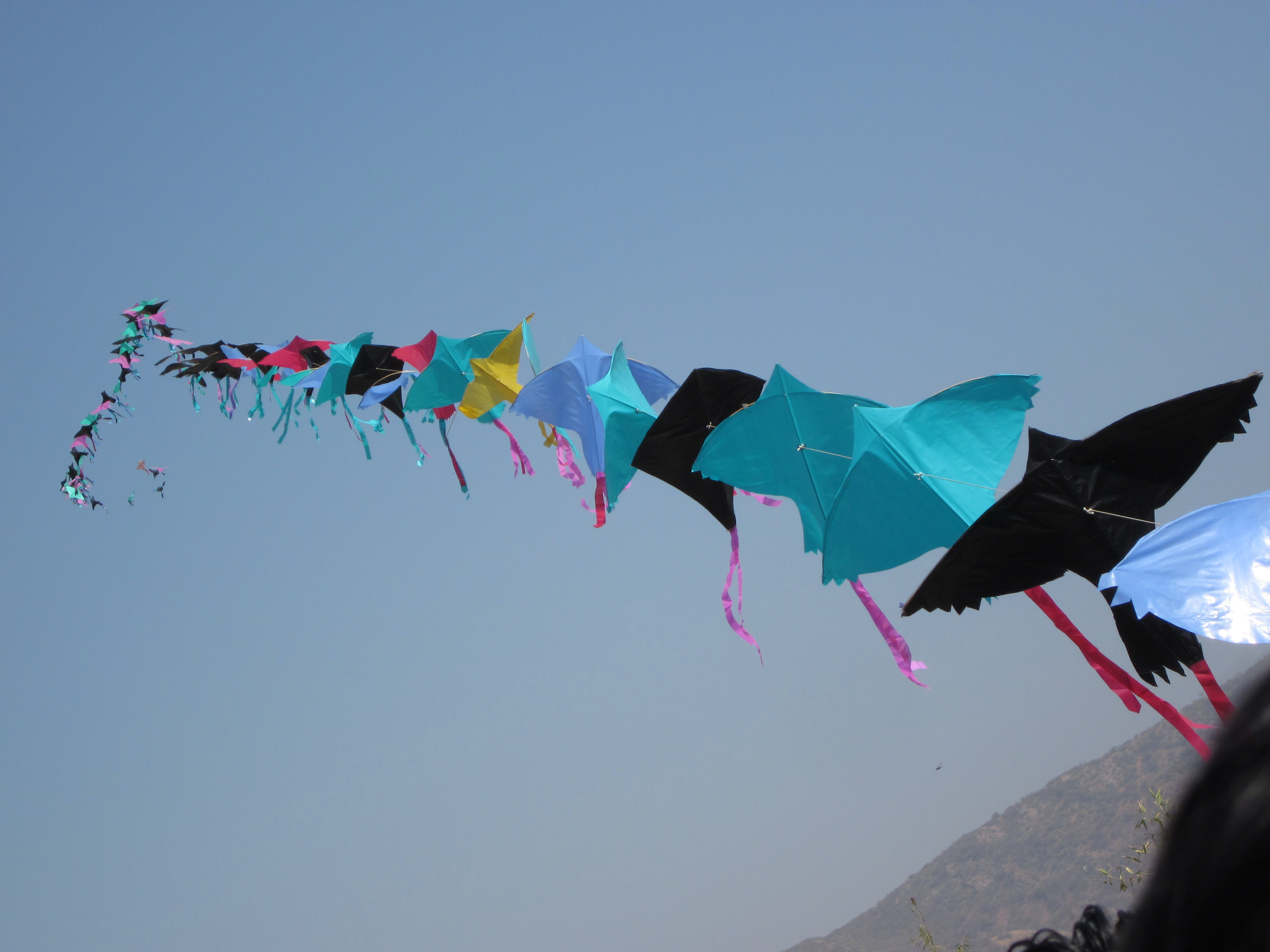 Image result for kite,,nari