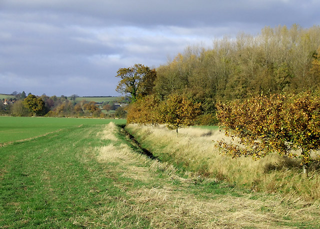 File:Fields, Brook and Woodland, near Bourton, Shropshire - geograph.org.uk - 601583.jpg