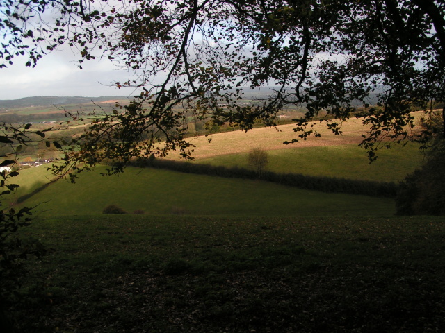 File:Fields and hills south of Tiverton - geograph.org.uk - 1573296.jpg