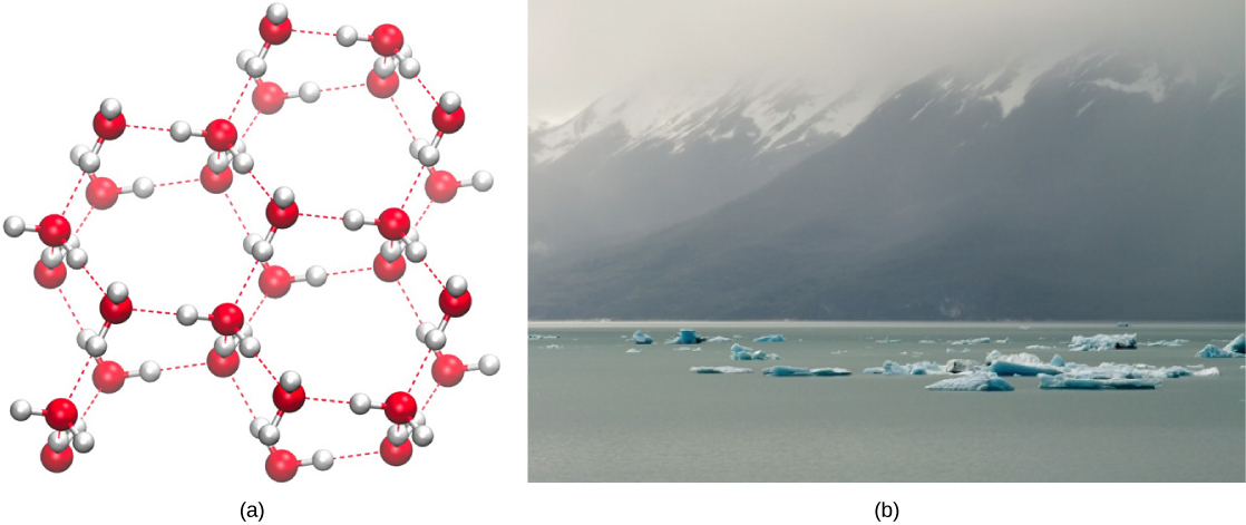 density - Why is ice less dense than water? - Physics Stack Exchange