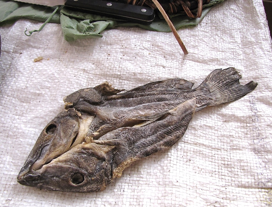 Stockfish - Wikidata