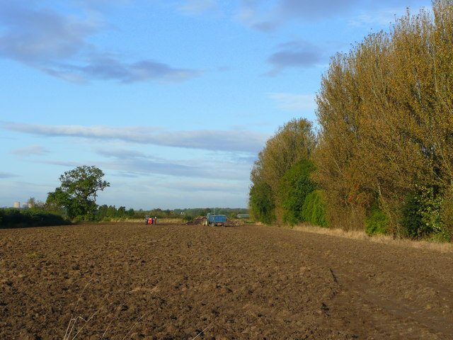 File:Flat farmland of Harby - geograph.org.uk - 1019307.jpg