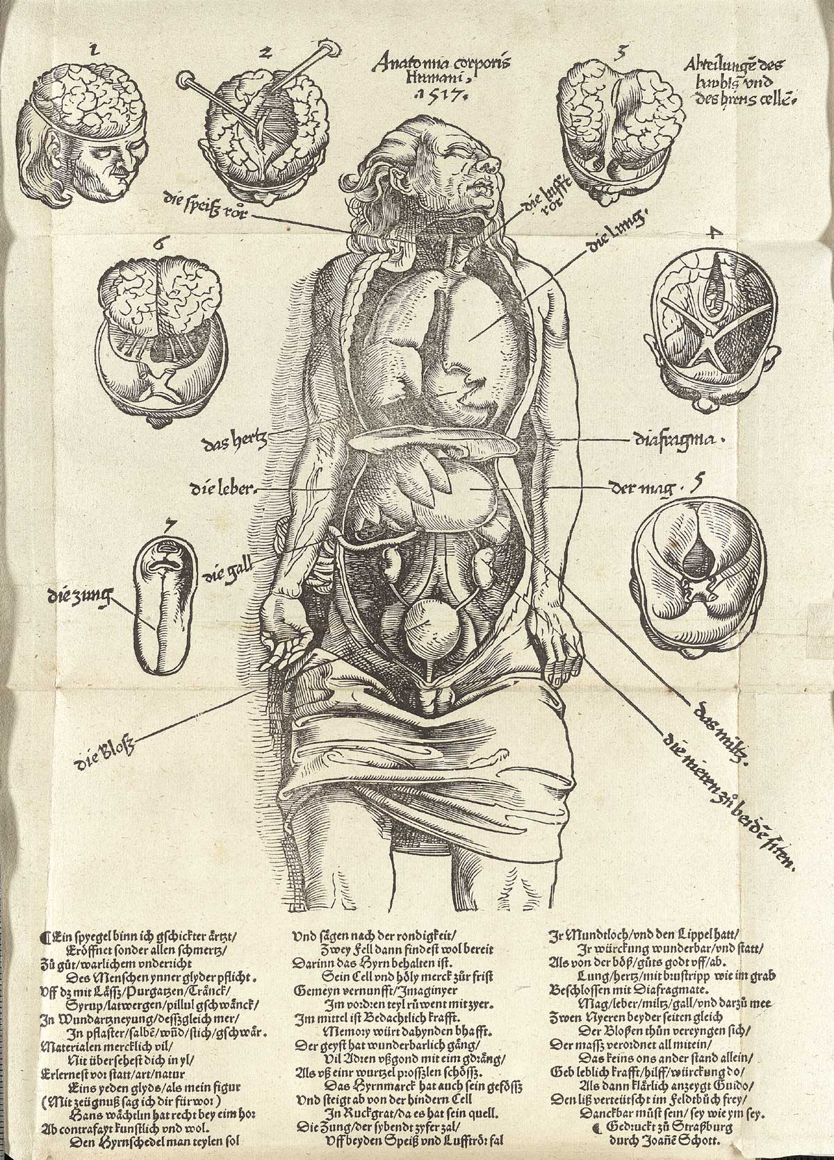 Surgery Wikipedia  Wisata Dan Info Sumbar