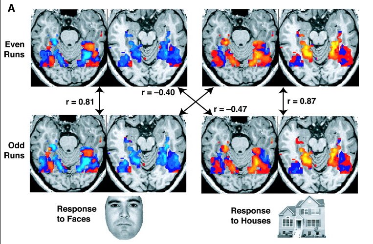These fMRI images are from a study showing parts of the brain lighting up on seeing houses and other parts on seeing faces. The 'r' values are correlations, with higher positive or negative values indicating a stronger relationship (i.e., a better match).