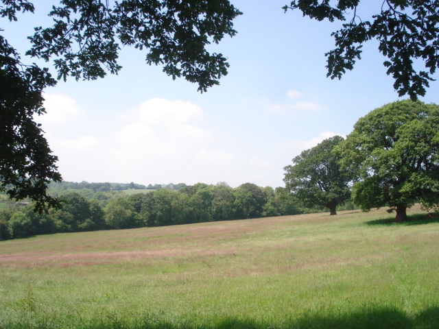 File:Hill Farm hay field - geograph.org.uk - 457909.jpg