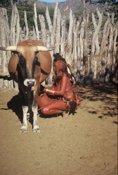 File:Himba women 2008.jpg