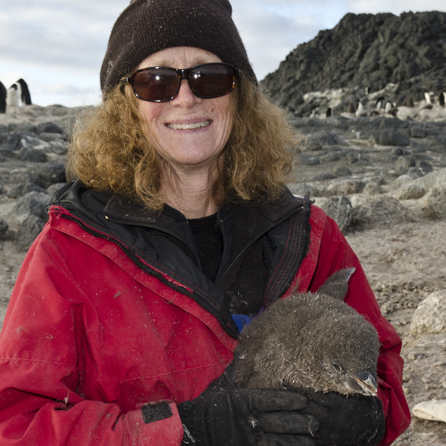 Jean Pennycook holding an [[Adélie penguin