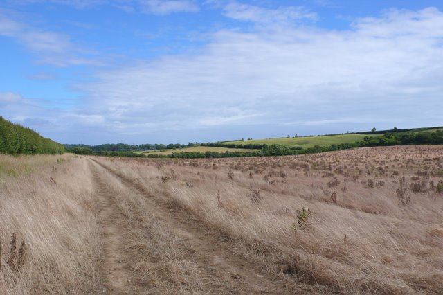 Jubilee Trail, Whitcombe - geograph.org.uk - 876663