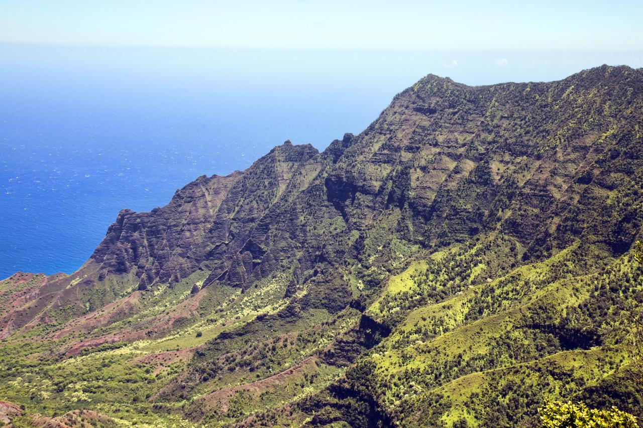 Hawaii cliff turf