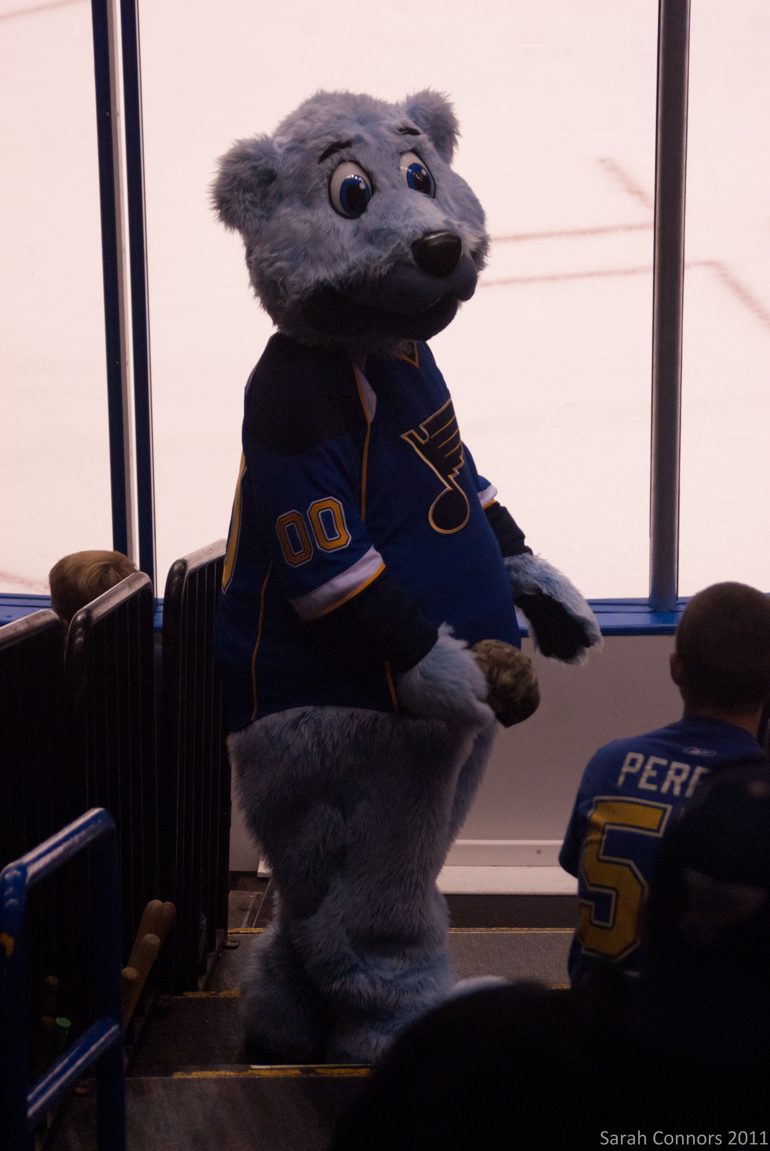 Louie (St. Louis Blues), SportsMascots Wikia