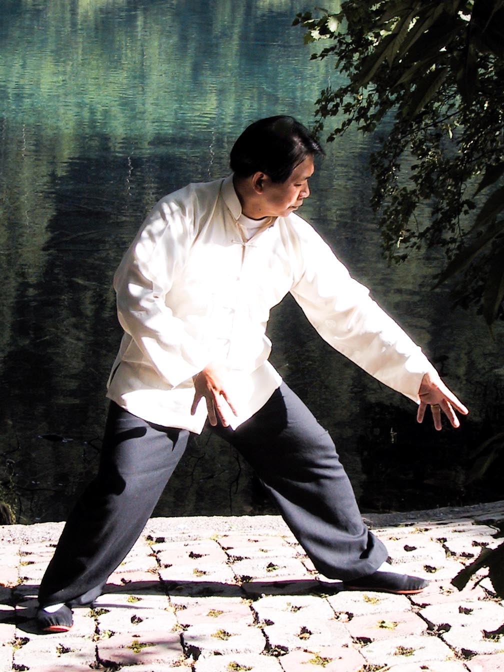 Crane Stance Secrets Miyagi Never Knew- Jin Ji Du Li Guide - YouTube