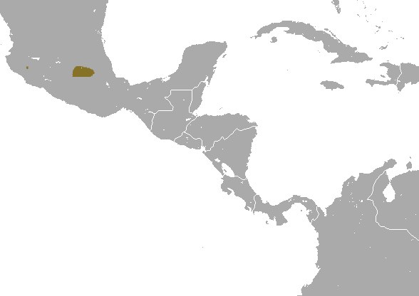 File:Mexican Long-tailed Shrew area.png