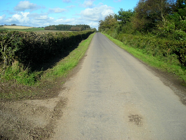 File:Minor Road Beside Wintersheugh Plantation - geograph.org.uk - 564774.jpg