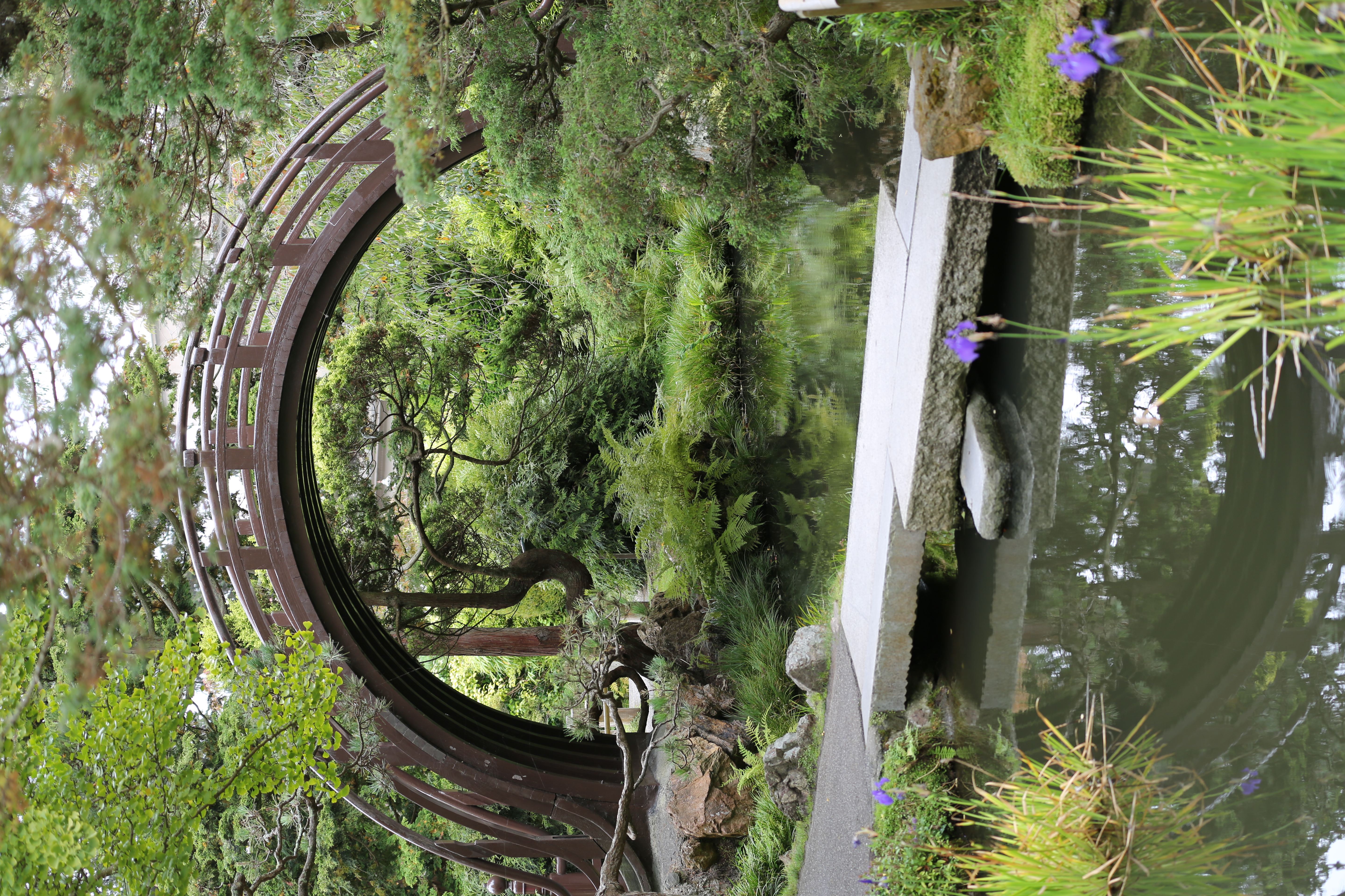 File Moon Bridge In Japanese Tea Garden San Francisco Tk1 Jpg Wikimedia Commons