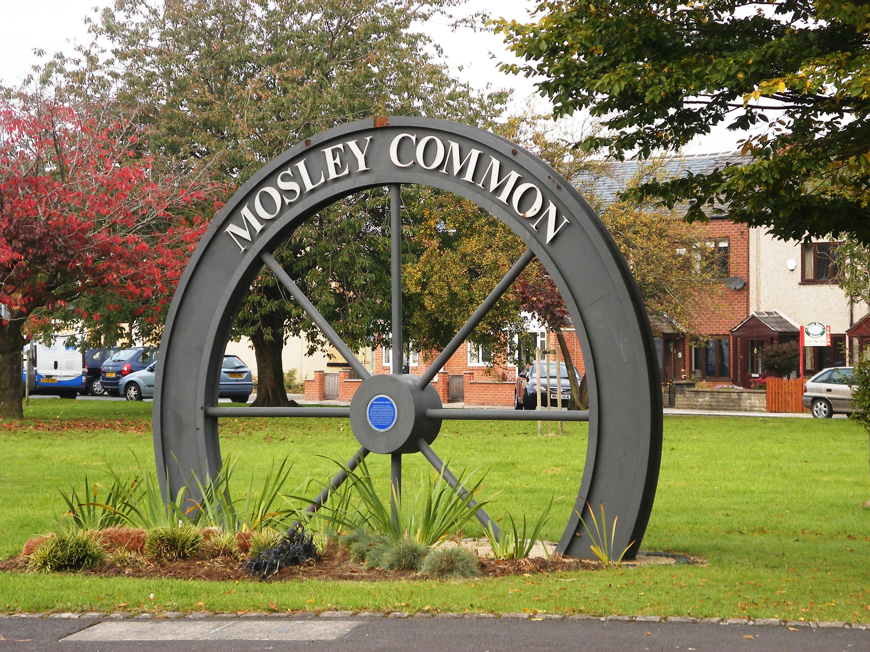 Mosley Common