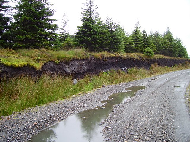 File:New forest road - geograph.org.uk - 251506.jpg