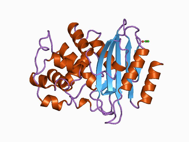 Beta-lactamase - Wikipedia