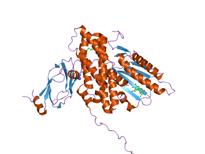 File:PDB 2q8i EBI.png