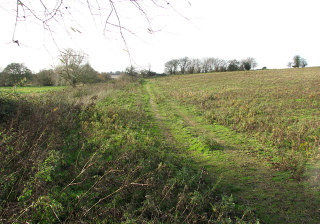 File:Path north of Low Common - geograph.org.uk - 1588230.jpg