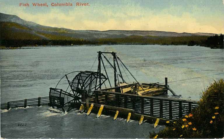 File:Salmon fish wheel on the Columbia River, Oregon, circa 1910 (AL+CA 1807).jpg