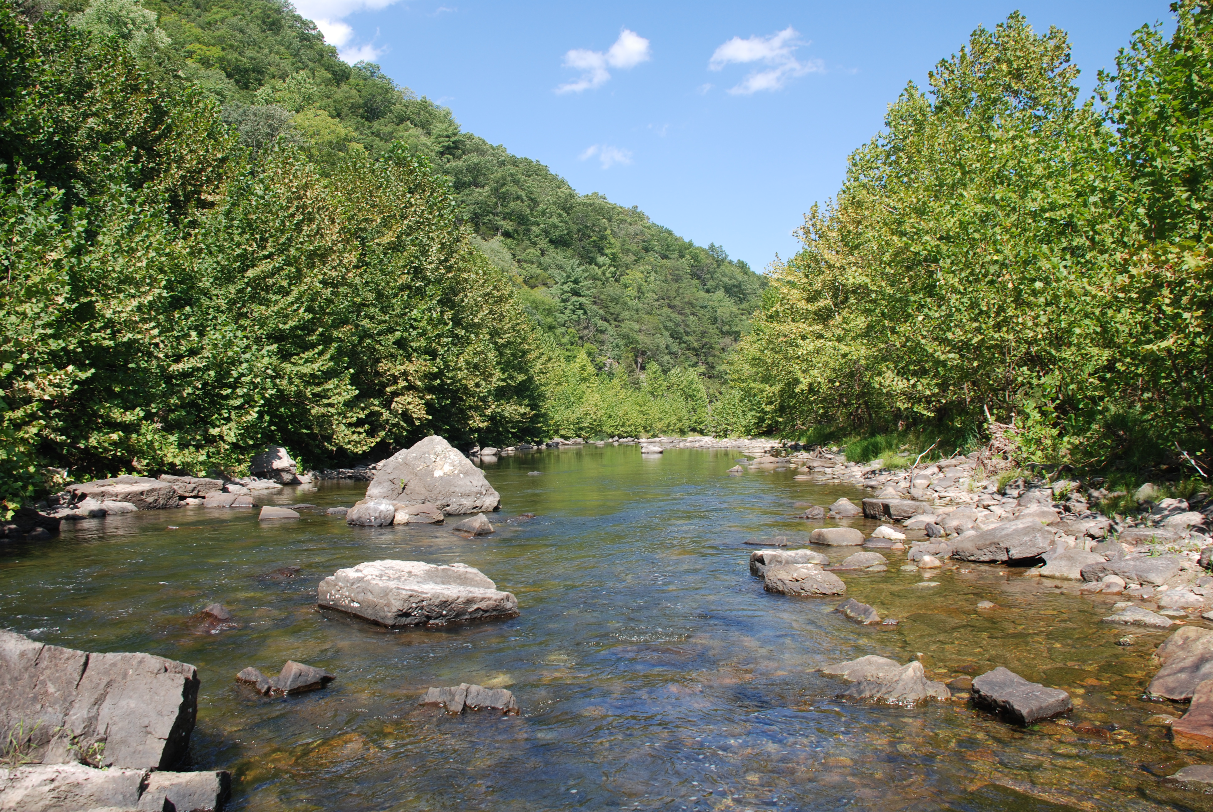 Река мая. Река Майя. Река мая Хабаровский край. Мая (приток Алдана). Monongahela National Forest.