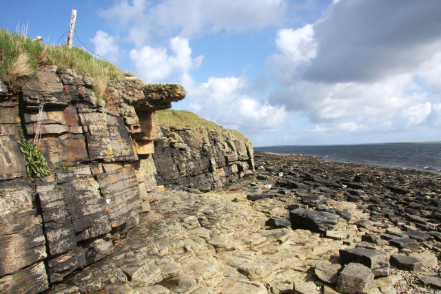 File:South coast of Wyre - geograph.org.uk - 1300198.jpg