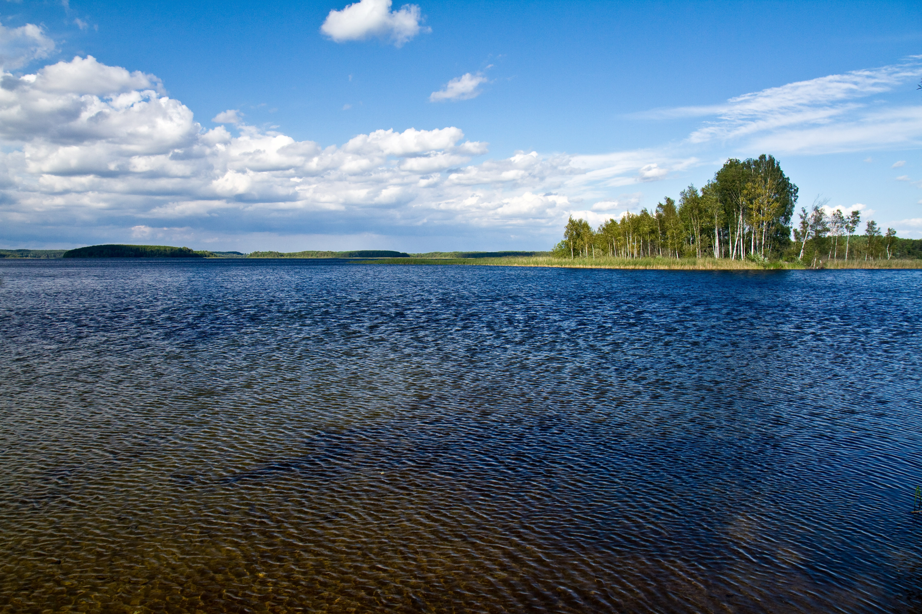 Lake Strusta httpsuploadwikimediaorgwikipediacommons88