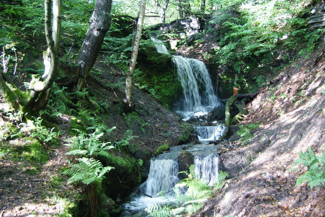 The waterfall in Redisher Woods - geograph.org.uk - 1588526