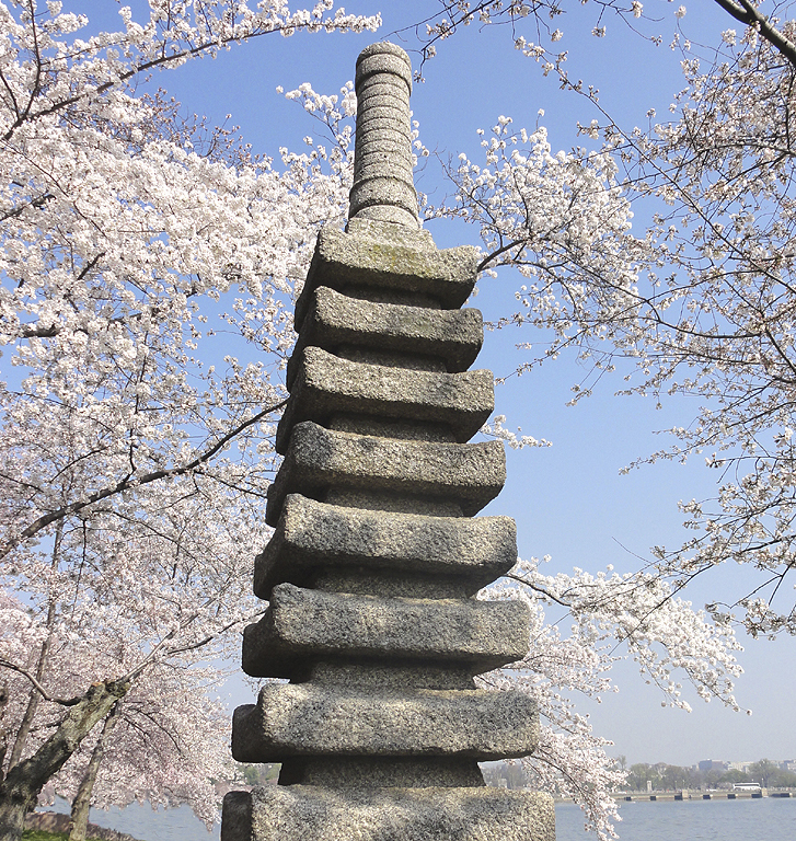 Пагода пунук. Pagoda Mary. Tidal basin.